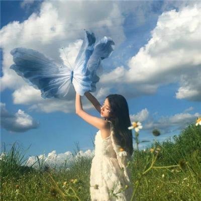 霹雳玫瑰 海报